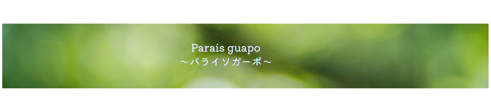 Paraís guapo~パライソガーポ〜